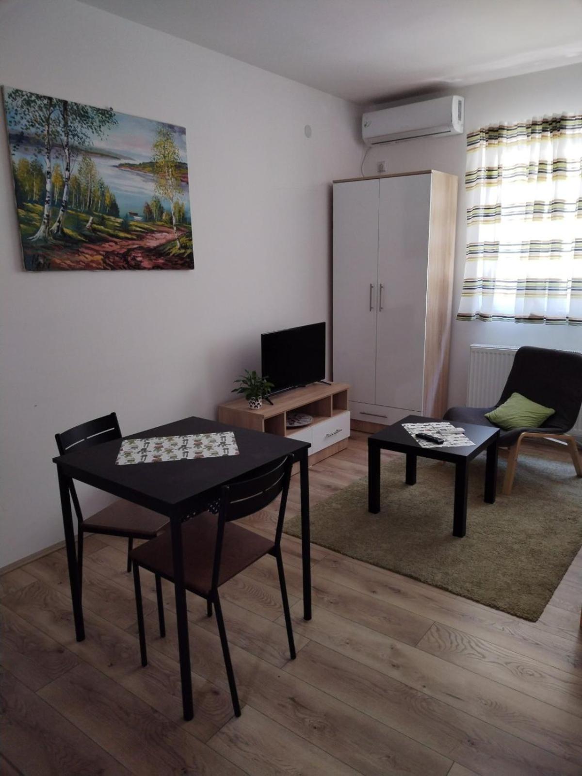 V & V Studio Apartments Nisz Pokój zdjęcie